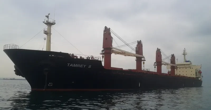 TAMREY S Bulk Carrier IMO 9171541 photo 5