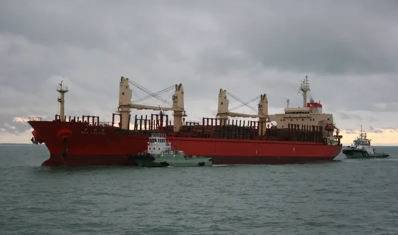 TAMREY S Bulk Carrier IMO 9171541 photo 9
