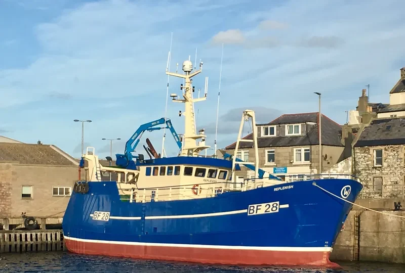 OPPORTUNE General Cargo IMO 9171785 photo 2