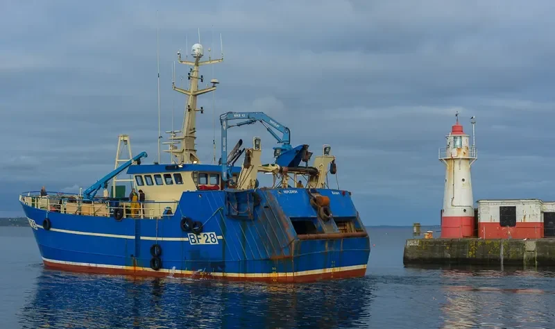 OPPORTUNE General Cargo IMO 9171785 photo 4