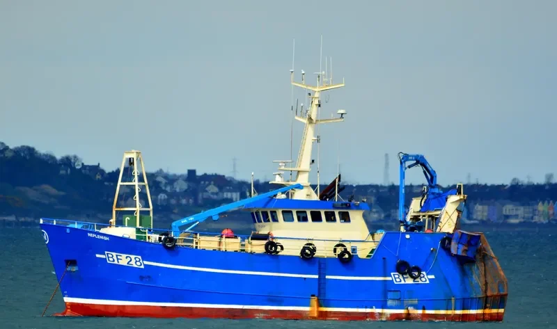 OPPORTUNE General Cargo IMO 9171785 photo 8