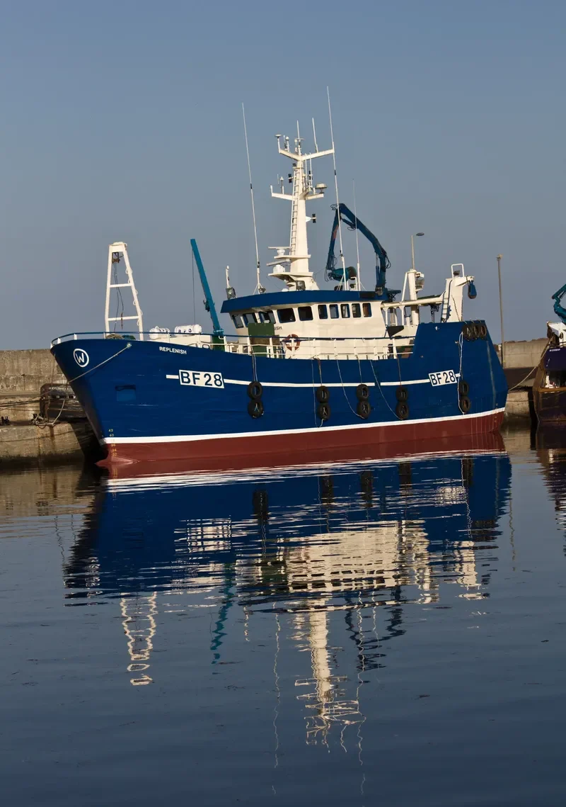 OPPORTUNE General Cargo IMO 9171785 photo 10