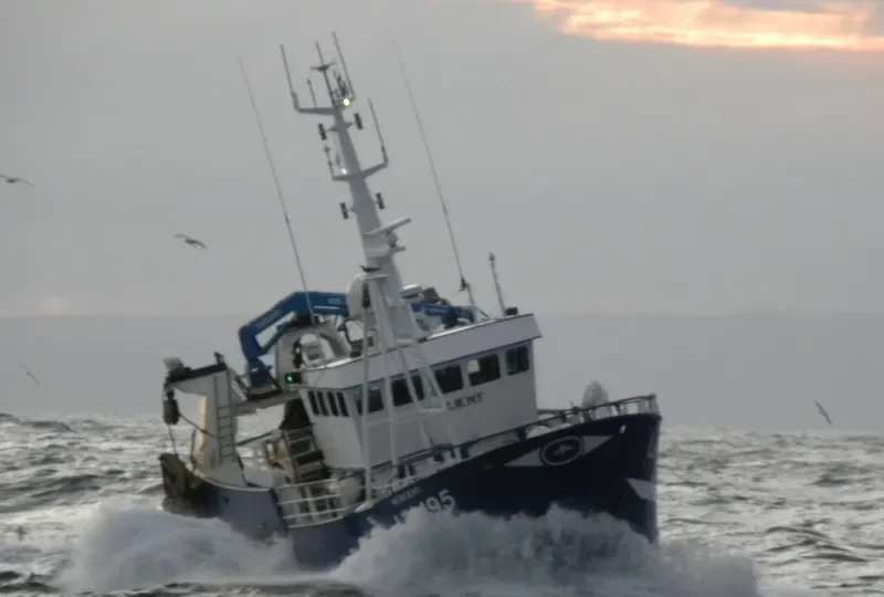 RESILIENT General Cargo IMO 9171797 photo 8