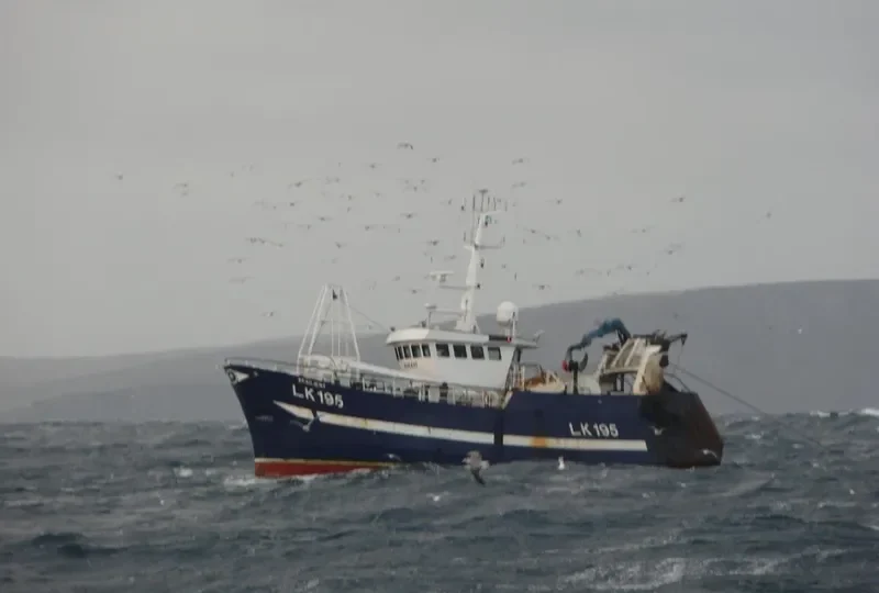 RESILIENT General Cargo IMO 9171797 photo 9