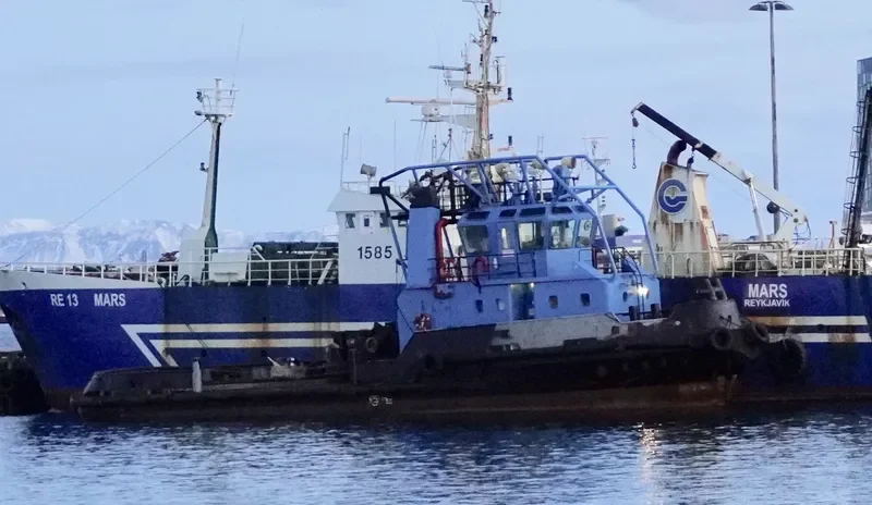 GRETTIR STERKI General Cargo IMO 9171993 photo 4