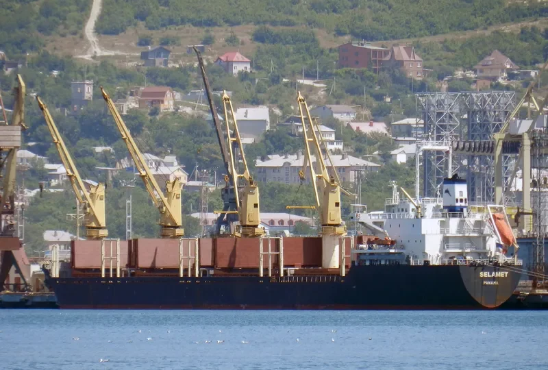 SELAMET Bulk Carrier IMO 9172105 photo 8