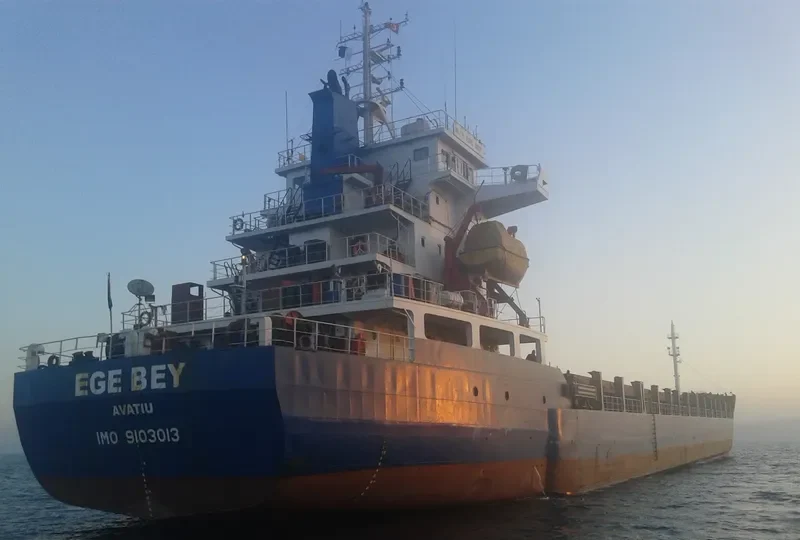 SELAMET Bulk Carrier IMO 9172105 photo 9