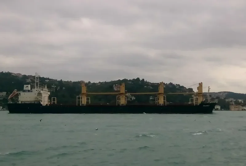 SELAMET Bulk Carrier IMO 9172105 photo 10