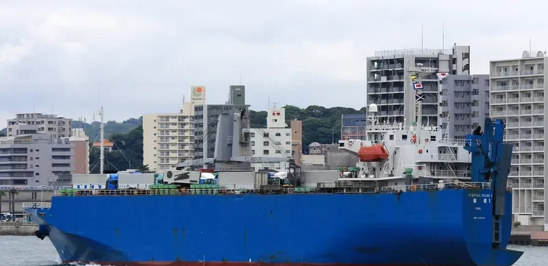 FORTUNE TRADE I General Cargo IMO 9172117