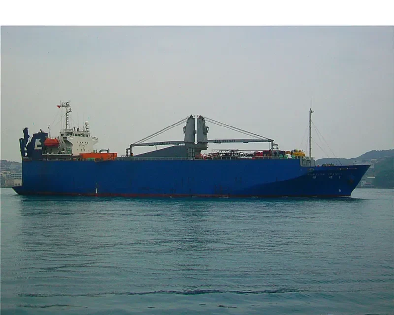 FORTUNE TRADE I General Cargo IMO 9172117 photo 9