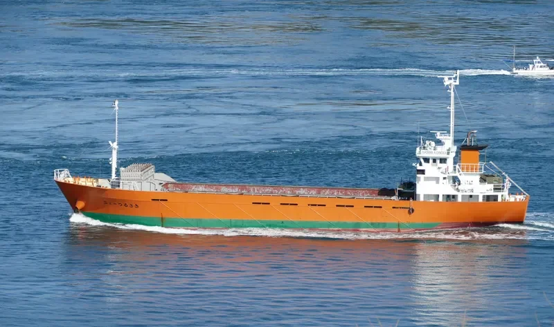 NEW TSURUSAKI General Cargo IMO 9172325 photo 6