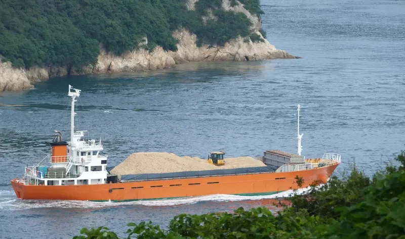 NEW TSURUSAKI General Cargo IMO 9172325 photo 10
