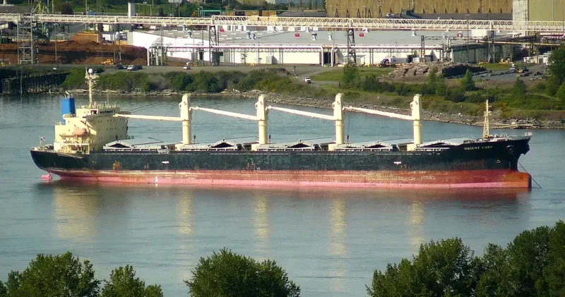 UNISON LEADER Bulk Carrier IMO 9172387 photo 2