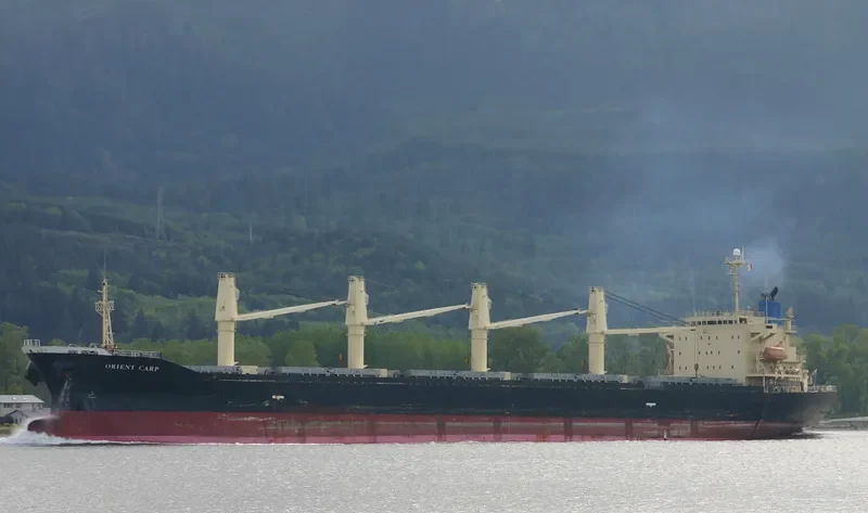 UNISON LEADER Bulk Carrier IMO 9172387 photo 3