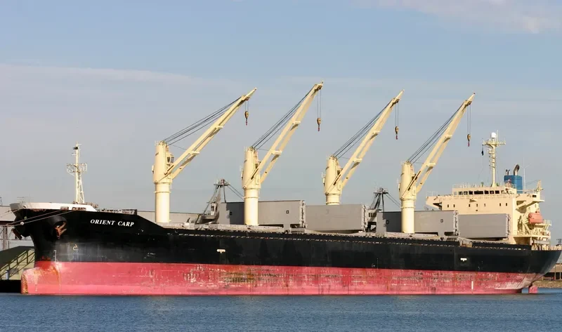 UNISON LEADER Bulk Carrier IMO 9172387 photo 4