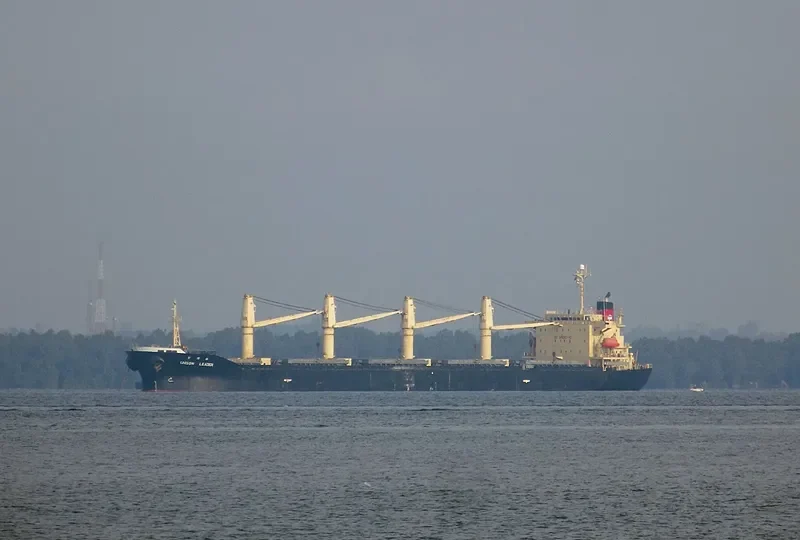 UNISON LEADER Bulk Carrier IMO 9172387 photo 7