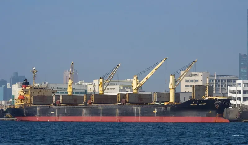 UNISON LEADER Bulk Carrier IMO 9172387 photo 9