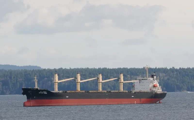 OS 35 Bulk Carrier IMO 9172399 photo 10