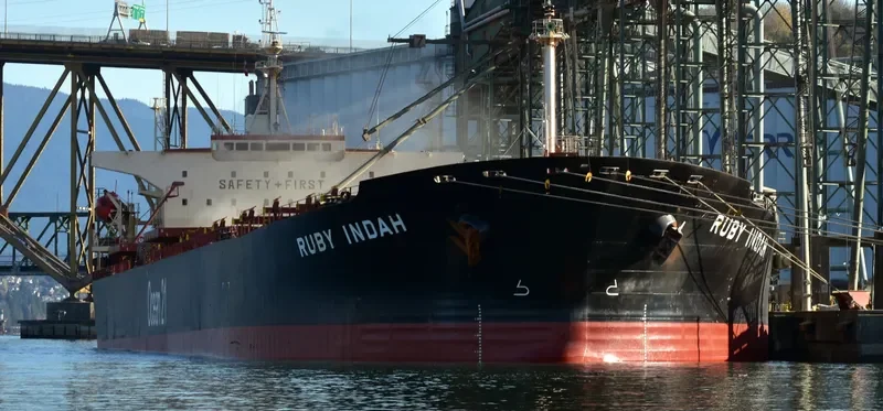 RUBY INDAH Bulk Carrier IMO 9172416