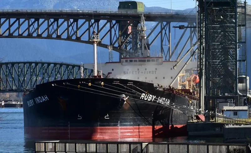 RUBY INDAH Bulk Carrier IMO 9172416 photo 2