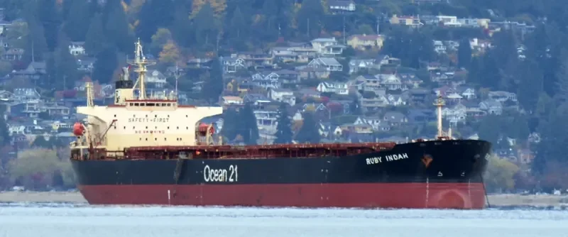 RUBY INDAH Bulk Carrier IMO 9172416 photo 3