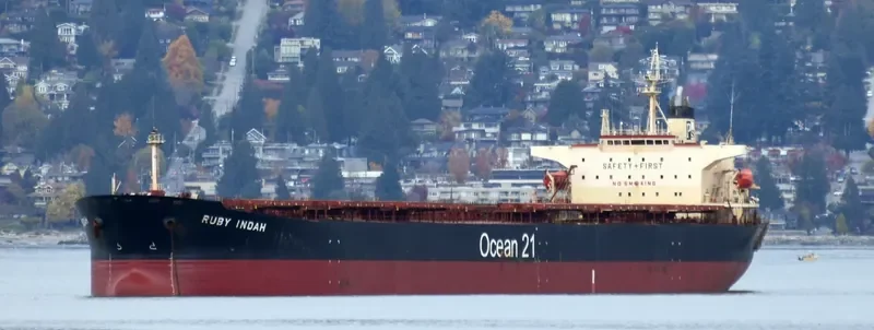 RUBY INDAH Bulk Carrier IMO 9172416 photo 4