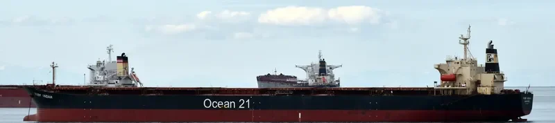 RUBY INDAH Bulk Carrier IMO 9172416 photo 5