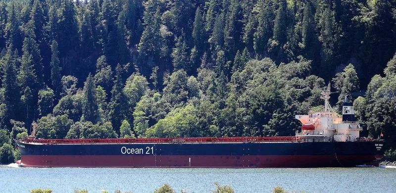RUBY INDAH Bulk Carrier IMO 9172416 photo 6