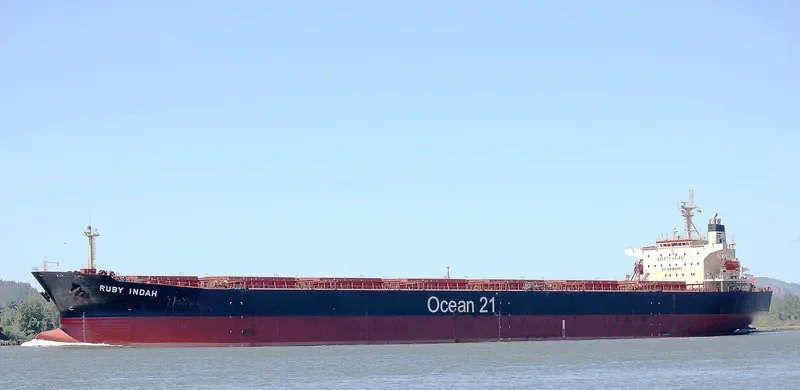 RUBY INDAH Bulk Carrier IMO 9172416 photo 7