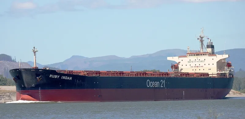 RUBY INDAH Bulk Carrier IMO 9172416 photo 8