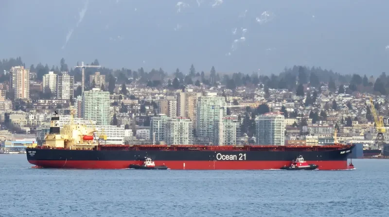 RUBY INDAH Bulk Carrier IMO 9172416 photo 9