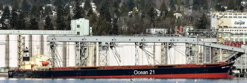 RUBY INDAH Bulk Carrier IMO 9172416 photo 10