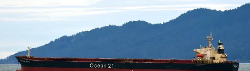 EMERALD INDAH Bulk Carrier IMO 9172428 photo 4