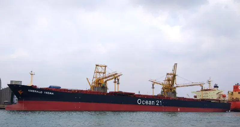 EMERALD INDAH Bulk Carrier IMO 9172428 photo 8