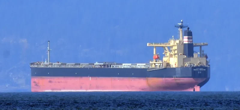 ORIENTAL NAVIGATOR Bulk Carrier IMO 9172430 photo 4