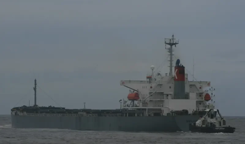GUO DIAN 18 Bulk Carrier IMO 9172545