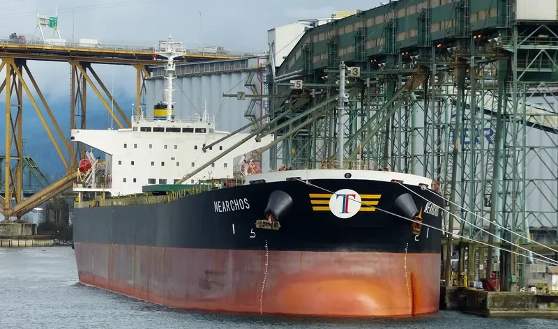 WAN LI Bulk Carrier IMO 9172571 photo 3