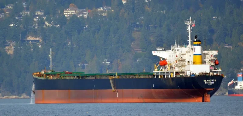 WAN LI Bulk Carrier IMO 9172571 photo 6