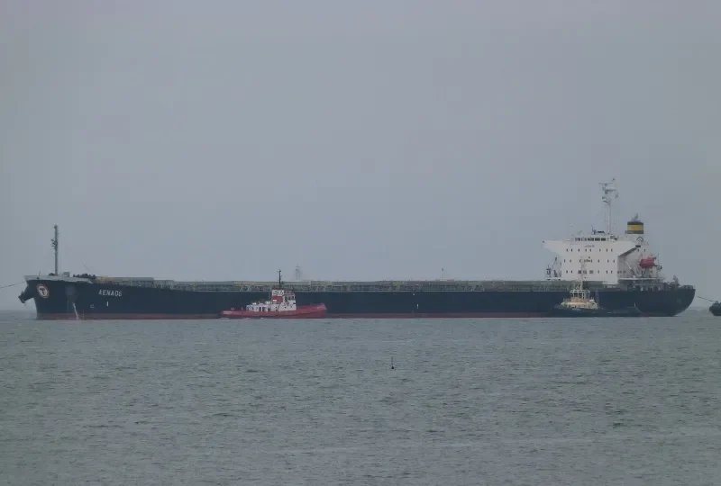 WAN LI Bulk Carrier IMO 9172571 photo 7