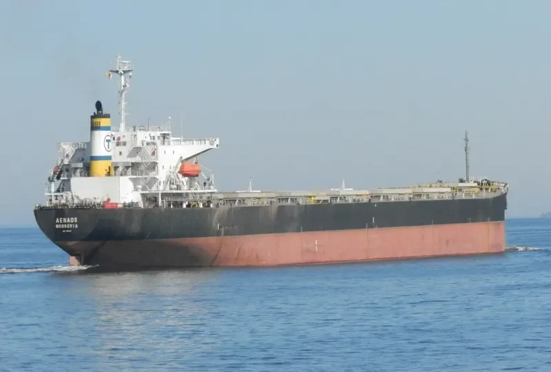 WAN LI Bulk Carrier IMO 9172571 photo 10