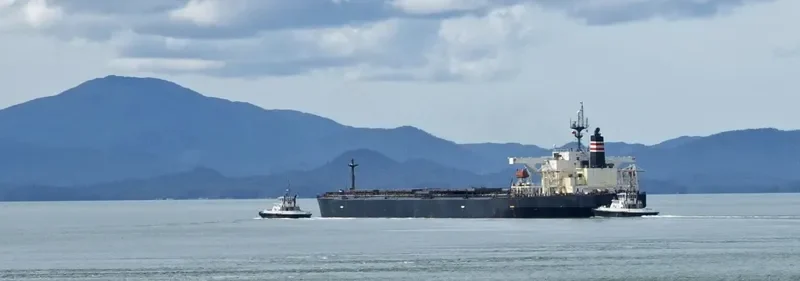 ZHEN HUA 31 General Cargo IMO 9172686 photo 2