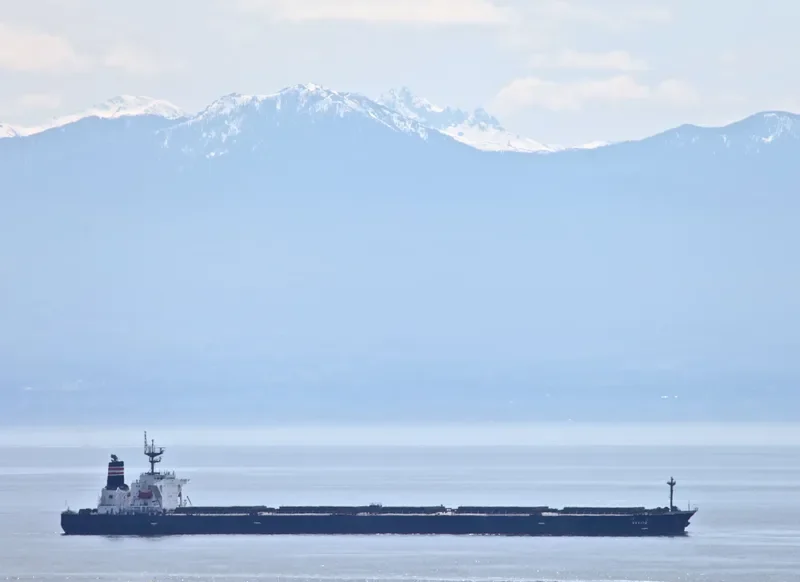 ZHEN HUA 31 General Cargo IMO 9172686 photo 3