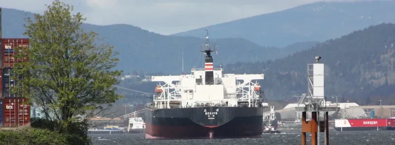 ZHEN HUA 31 General Cargo IMO 9172686 photo 4
