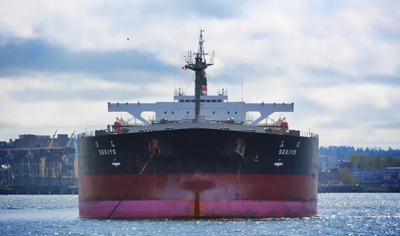 ZHEN HUA 31 General Cargo IMO 9172686 photo 6