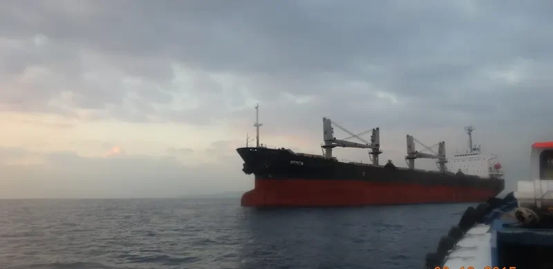 BENITA Bulk Carrier IMO 9172961