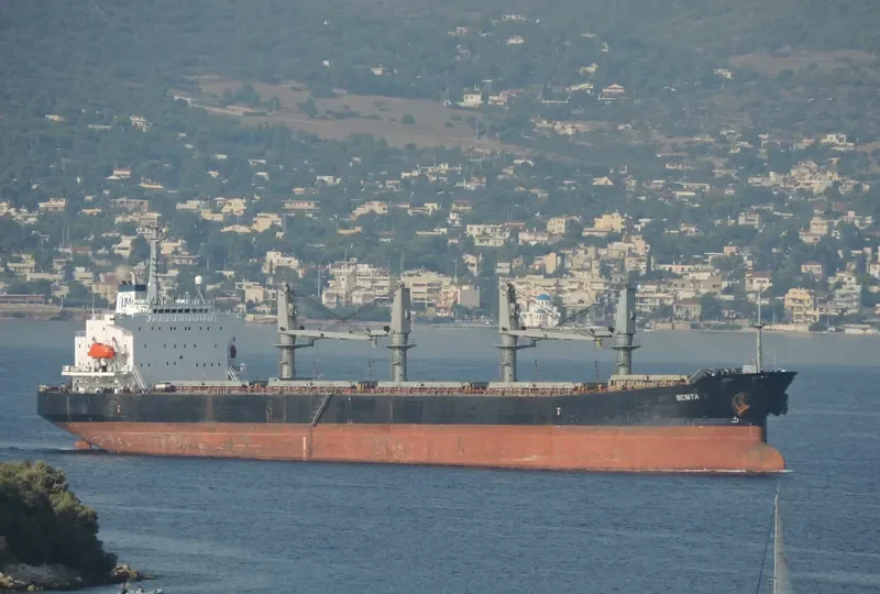 BENITA Bulk Carrier IMO 9172961 photo 9