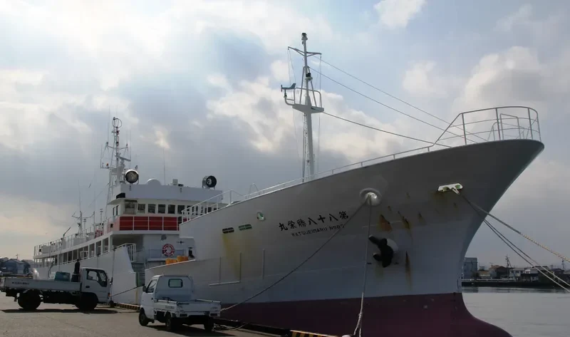 KATSUEI MARU NO.88 General Cargo IMO 9172973