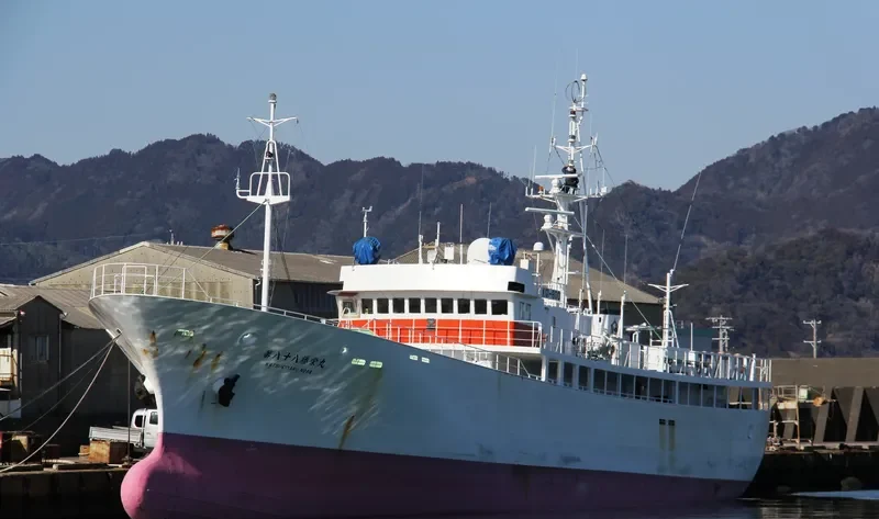 KATSUEI MARU NO.88 General Cargo IMO 9172973 photo 2