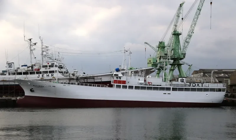 KATSUEI MARU NO.88 General Cargo IMO 9172973 photo 7