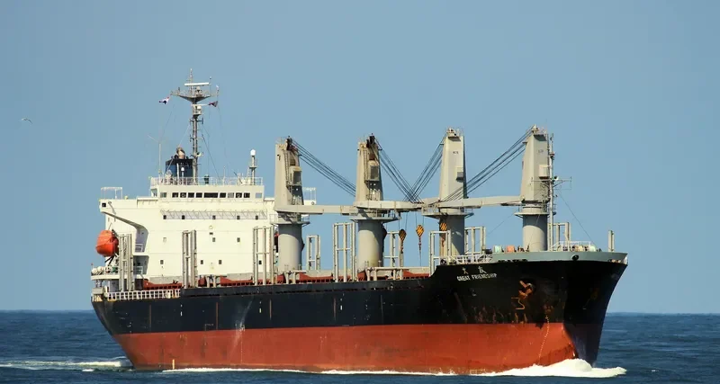 GREAT FRIENDSHIP Bulk Carrier IMO 9173020 photo 3